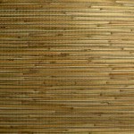 P1130830