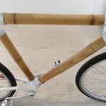 bamboo05