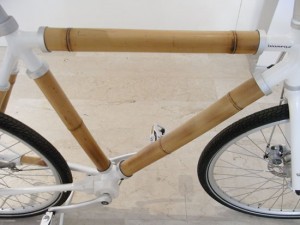 bamboo05