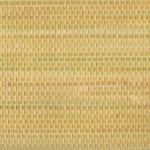pr11014g